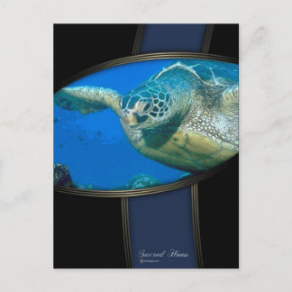 CARTE POSTALE SACRED HONU