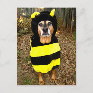 Carte Postale Saddest Bee Postcard