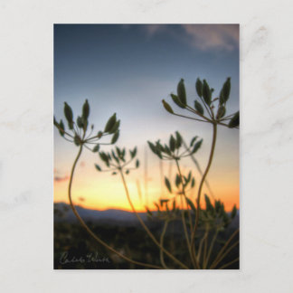 Carte Postale Saddle Rock Sunset