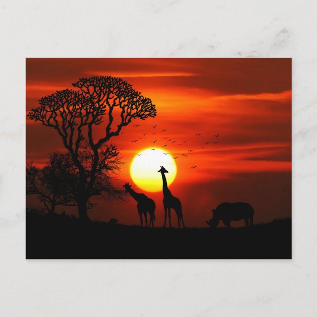 Carte Postale Safari Africain Sunset Animal Silhouettes (Devant)