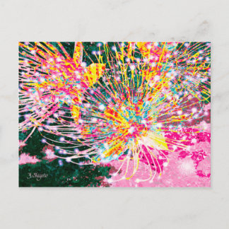 CARTE POSTALE SAGARIBANA