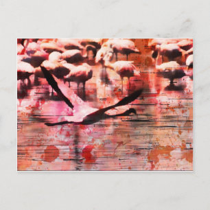 Carte Postale Sagesse Flamant rose