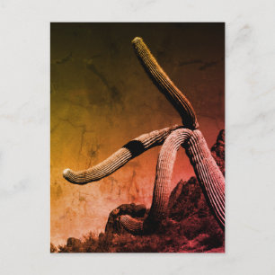 Carte Postale Saguaro Cactus Photographie d'art en style rustiqu