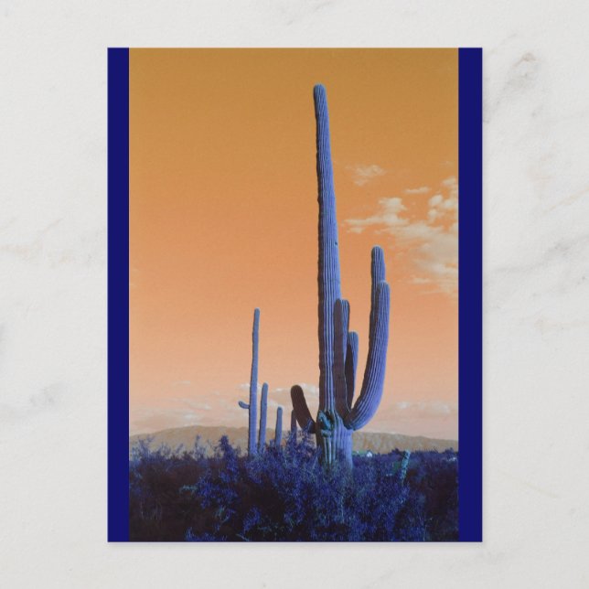 Carte Postale Saguaro en bleu (Devant)