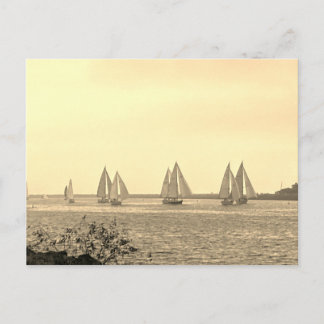 Carte Postale Sailboats in Sepia Postcard
