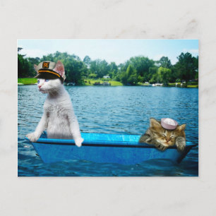 Carte Postale Sailor Cats