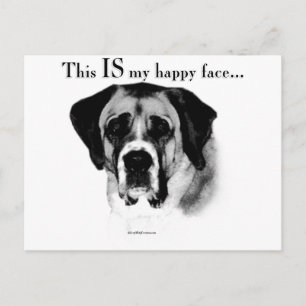 Carte Postale Saint Bernard Joyeux Visage