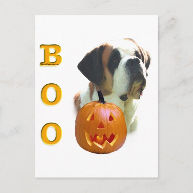 Carte Postale Saint Bernard (lisse) Boo (Devant)