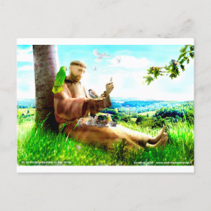 Carte Postale Saint François et les sermons prêchent aux oiseaux