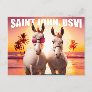 Carte Postale Saint John USVI ânes sur la plage Drôle unique