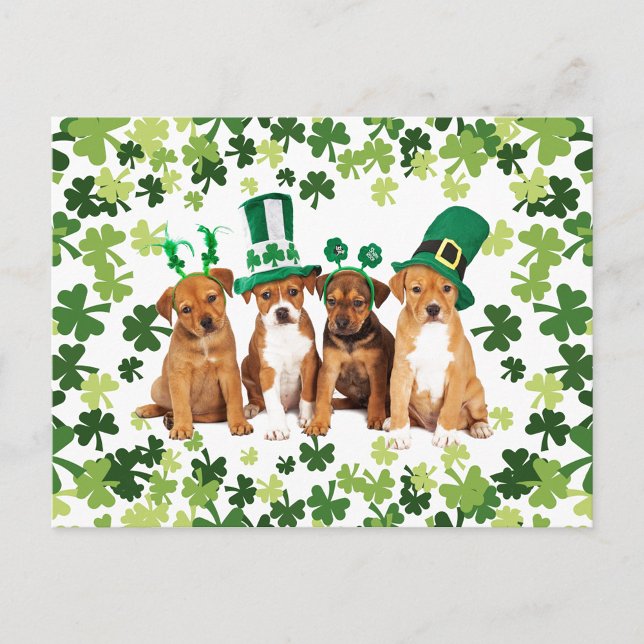 Carte Postale Saint Patrick's Day (Créateur téléchargé)