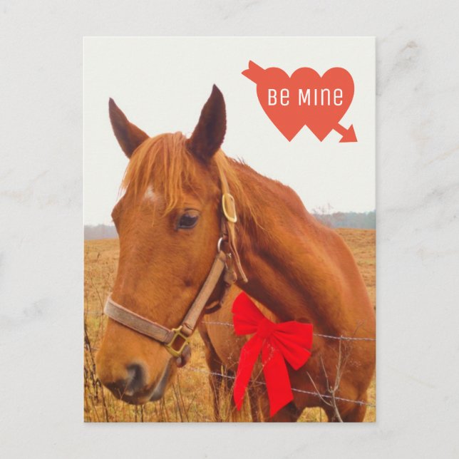 Carte Postale Saint Valentin Cheval personnalisé avec Bow (Devant)