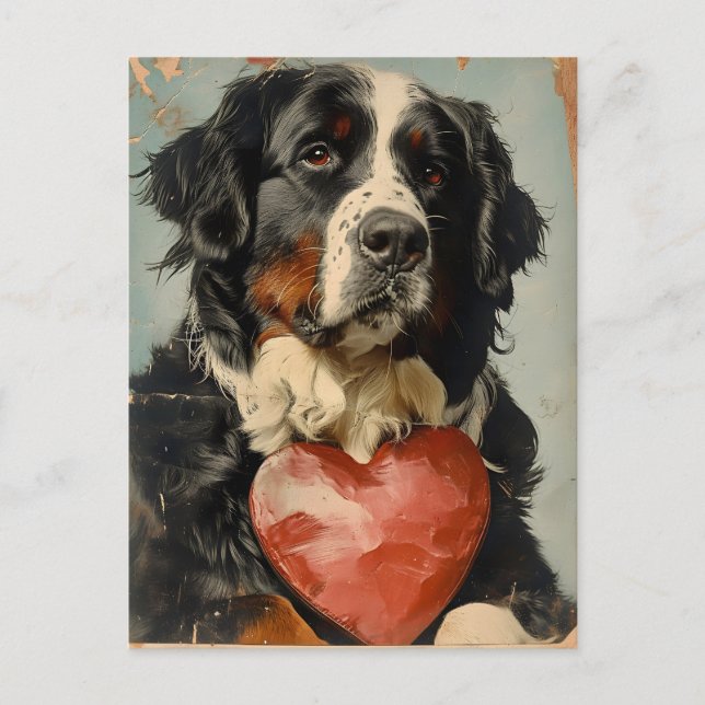 Carte Postale Saint Valentin, chien de montagne bernois (Devant)