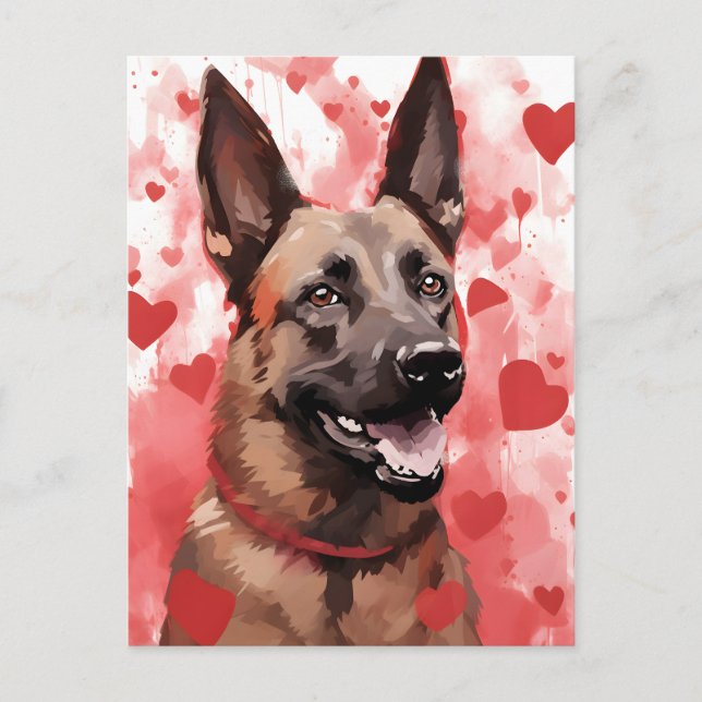 Carte Postale Saint-Valentin Malinois belge (Devant)
