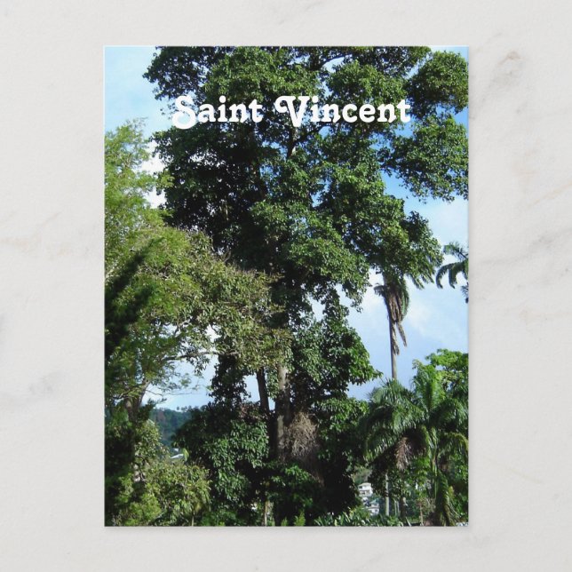 Carte Postale Saint-Vincent (Devant)
