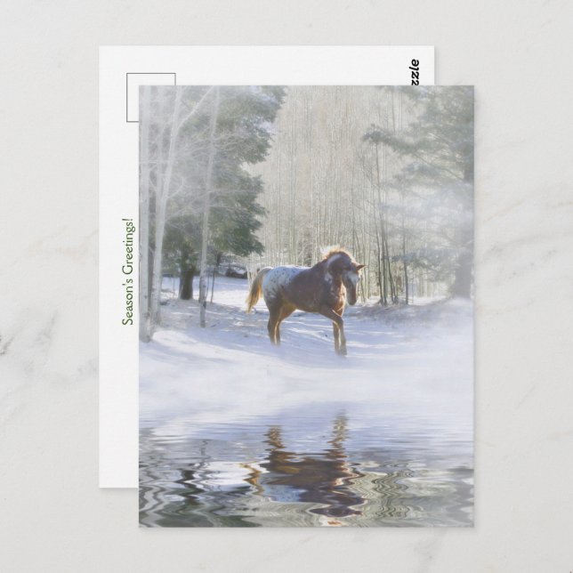 Carte Postale Saisons de Vacances Salutations Cheval à Neige (Devant / Derrière)