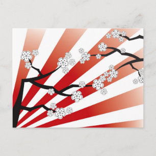 Carte Postale Sakura Lever de Soleil Fleurs de Cerisier Blanc Ze
