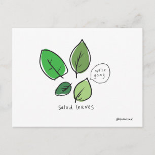 carte postale salade