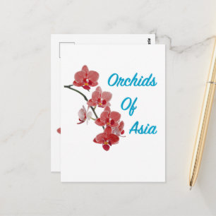 Carte Postale Salon de jour Orchidées d'Asie