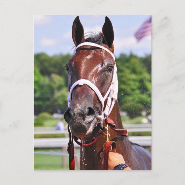 Carte Postale Saluda, fillette de 2 ans par Congaree (Devant)