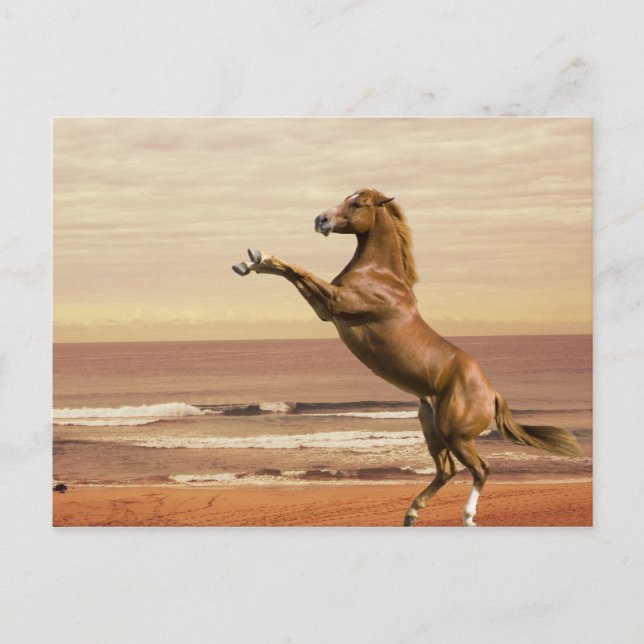 Carte Postale Salut au matin (Devant)