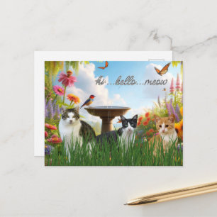 Carte Postale Salut Bonjour Miaou / Chats dans le Jardin Animal 