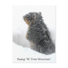 Salut du Wisconsin Snowy Squirrel