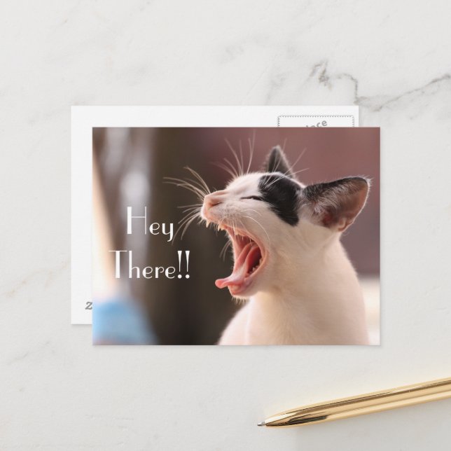 Carte Postale Salut Impatient Chat "Hey There" (Devant/Arrière en situation)