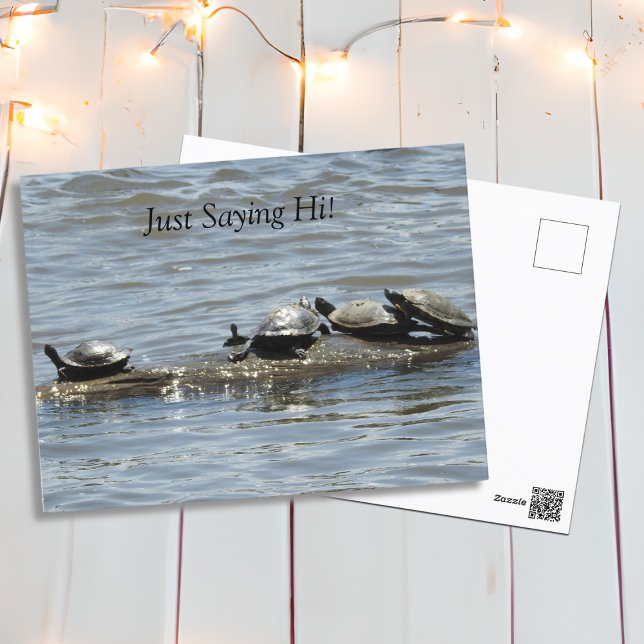 Carte Postale Salut, les mignonnes tortues bronzent sur le rond (Créateur téléchargé)