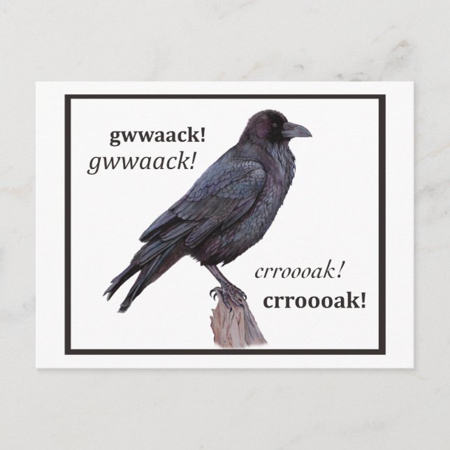 Carte Postale Salutation à propos corbeau (Devant)