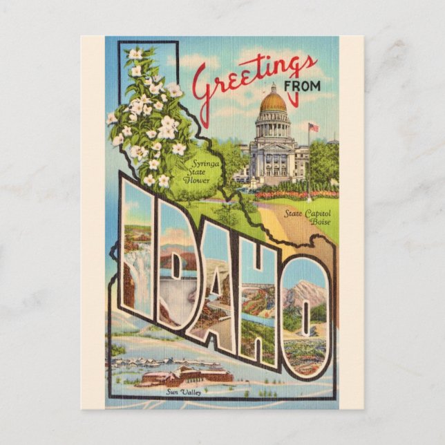 Carte Postale Salutation de l'État de l'Idaho (Devant)