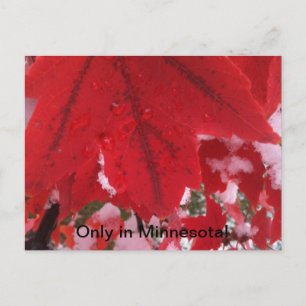 Carte Postale Salutation du Minnesota