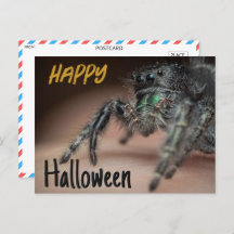 Salutation éffrayant Spider Halloween