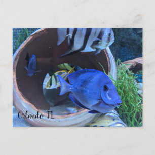 Carte Postale Salutation sous-marine