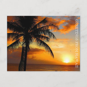 Carte Postale salutations au coucher du soleil