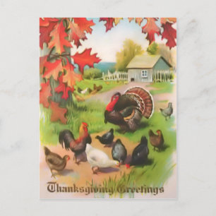 Carte postale Salutations Campagne de Thanksgiving