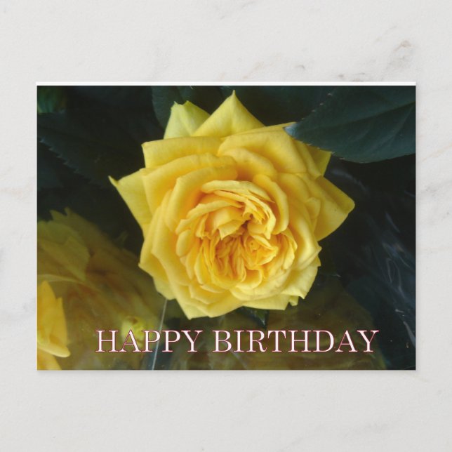 Carte Postale Salutations d'anniversaire de rose jaune (Devant)