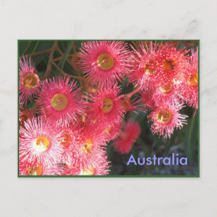 Carte Postale Salutations d'Australie