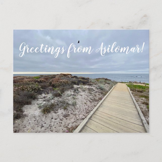 Carte Postale Salutations de Asilomar ! (Devant)