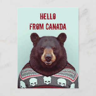 Carte Postale Salutations, de Bear