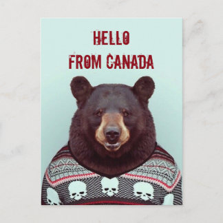 Carte Postale Salutations, de Bear
