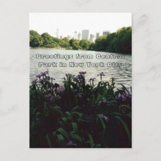 Carte Postale Salutations de Central Park à New York