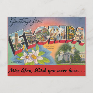 Carte Postale Salutations de FLORIDA