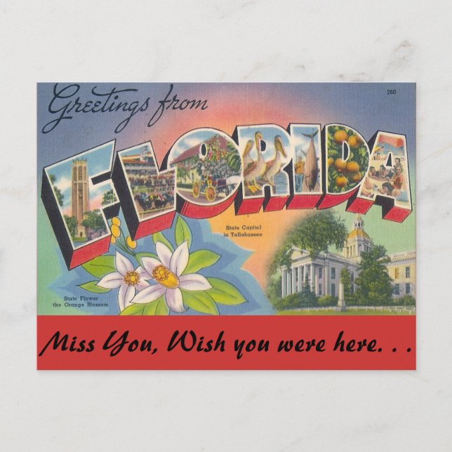 Carte Postale Salutations de FLORIDA (Devant)