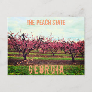Carte Postale Salutations De Georgia Peach Orchard
