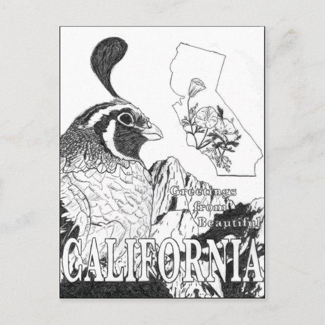 Carte Postale Salutations De La Belle Californie (Devant)