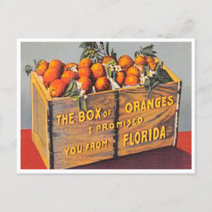 Carte Postale Salutations de la Floride Boîte d'Oranges Vintage