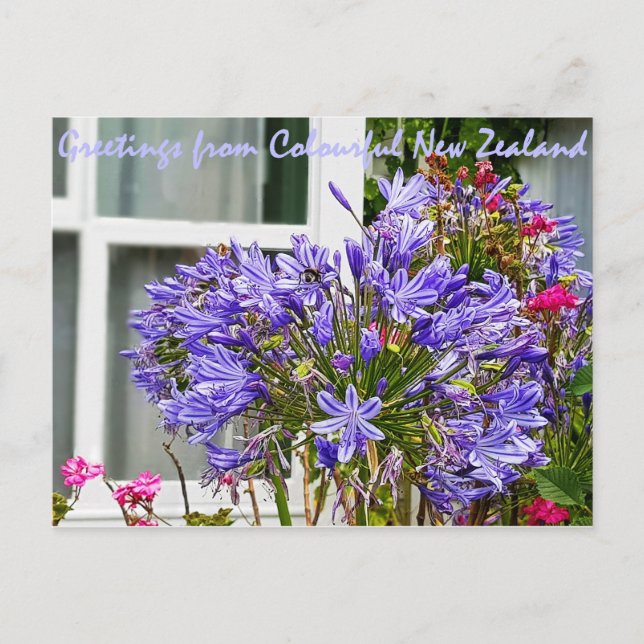 Carte Postale Salutations de la Nouvelle-Zélande (Devant)