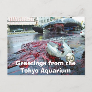 Carte Postale Salutations de l'aquarium de Tokyo
