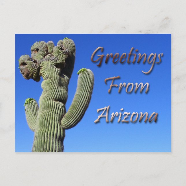 Carte Postale Salutations De L'Arizona (Devant)